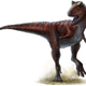 Footprints of an Abelisaurus have been uncovered in Bolivia. This creature closely resembled the Carnotaurus (pictured above). (Image: Lida Xing and Yi Liu)